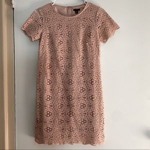 Ann Taylor - 00P - Blush Lace Dress